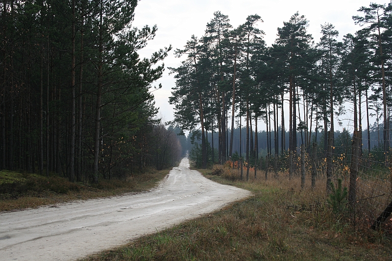 Rostoczek 11.2008 014